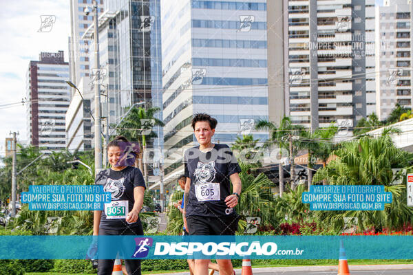 Cats Run Londrina 2025