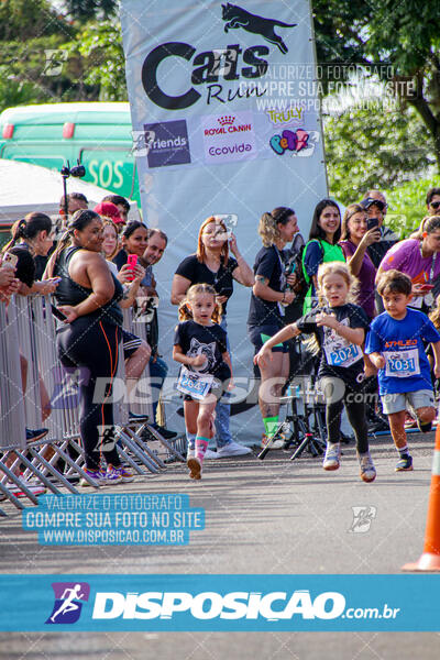 Cats Run Londrina 2025