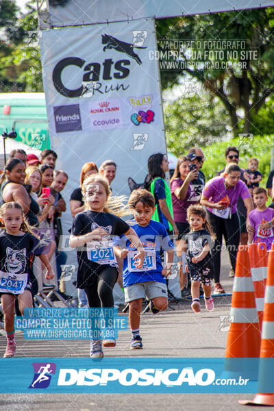 Cats Run Londrina 2025