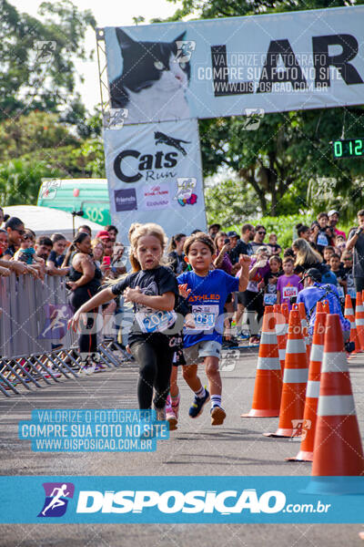 Cats Run Londrina 2025