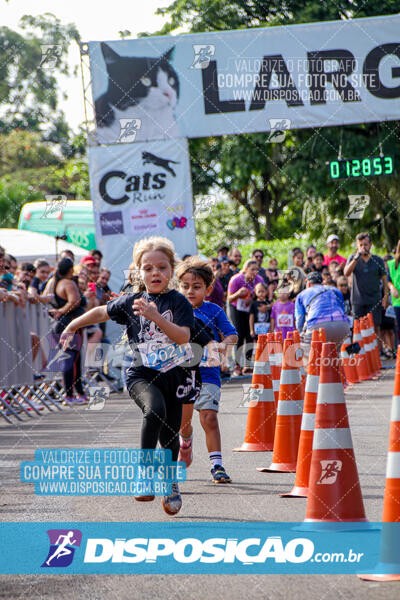 Cats Run Londrina 2025