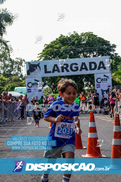 Cats Run Londrina 2025