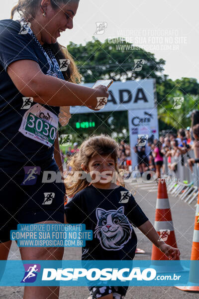 Cats Run Londrina 2025