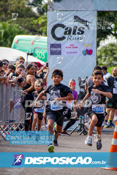 Cats Run Londrina 2025