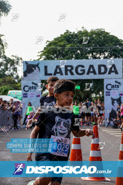 Cats Run Londrina 2025