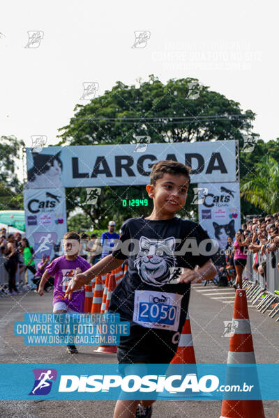 Cats Run Londrina 2025