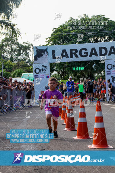 Cats Run Londrina 2025