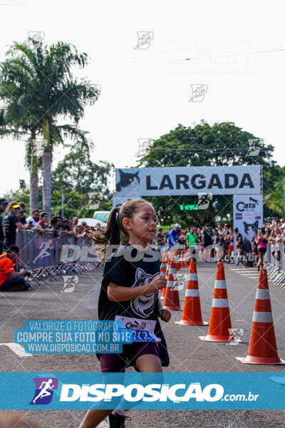 Cats Run Londrina 2025