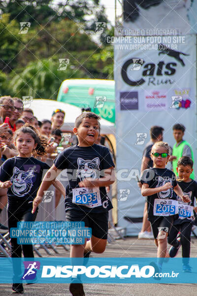 Cats Run Londrina 2025