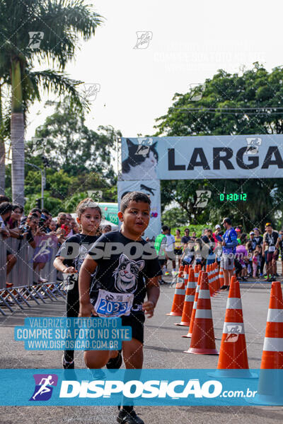 Cats Run Londrina 2025