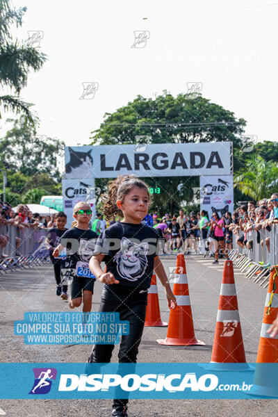 Cats Run Londrina 2025