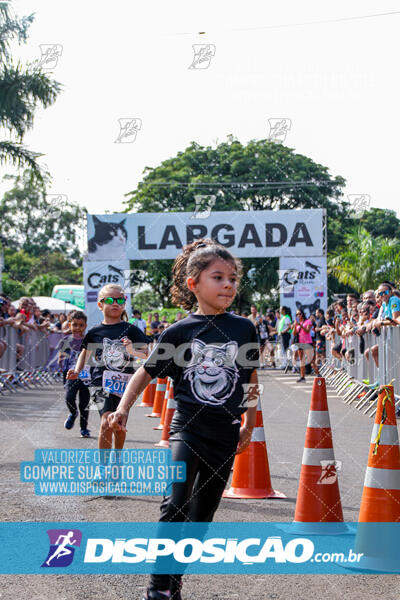 Cats Run Londrina 2025