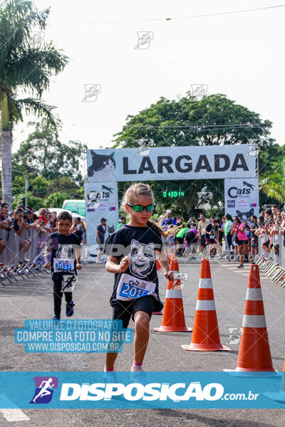 Cats Run Londrina 2025