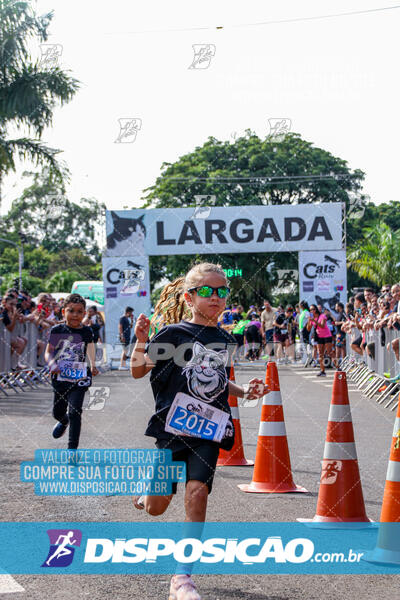 Cats Run Londrina 2025