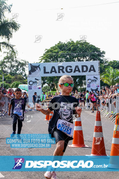 Cats Run Londrina 2025