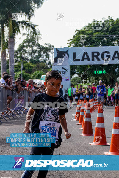 Cats Run Londrina 2025