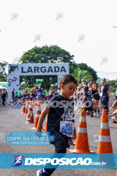 Cats Run Londrina 2025