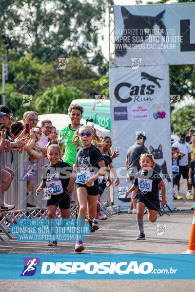 Cats Run Londrina 2025