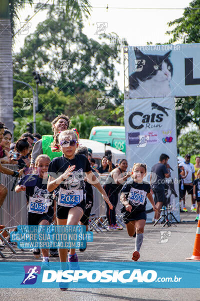 Cats Run Londrina 2025