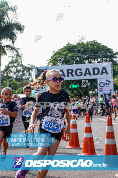 Cats Run Londrina 2025