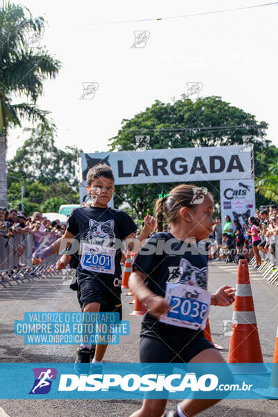 Cats Run Londrina 2025