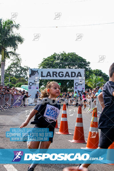 Cats Run Londrina 2025