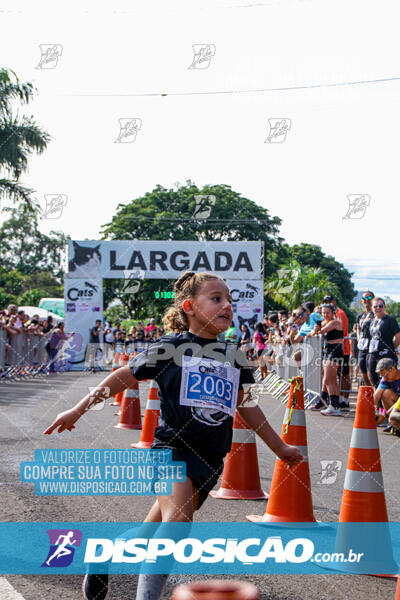 Cats Run Londrina 2025