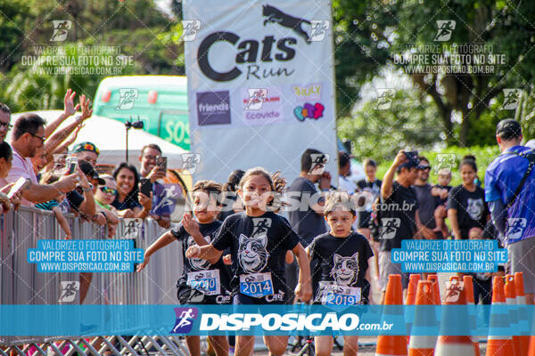 Cats Run Londrina 2025