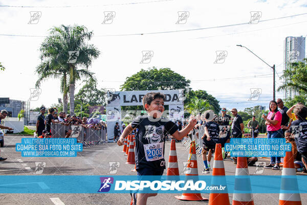 Cats Run Londrina 2025