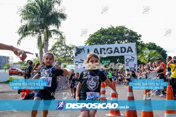 Cats Run Londrina 2025