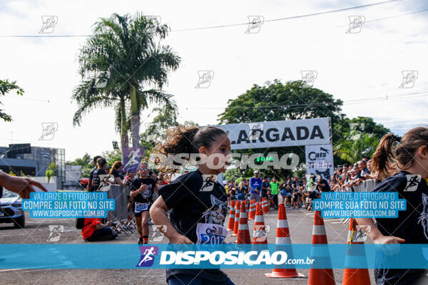 Cats Run Londrina 2025