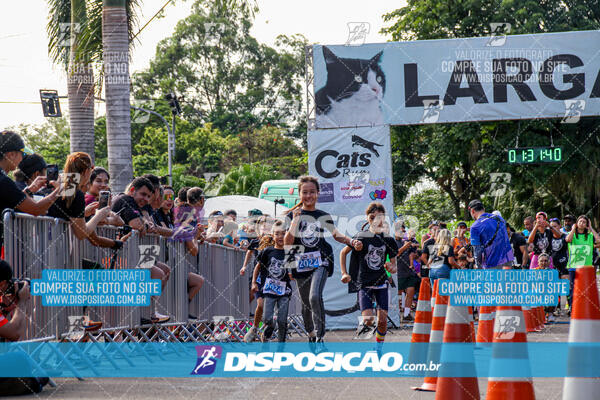 Cats Run Londrina 2025