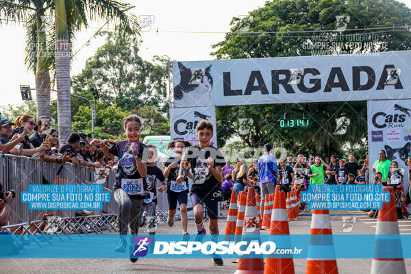 Cats Run Londrina 2025