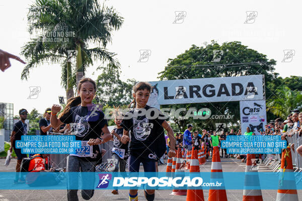 Cats Run Londrina 2025