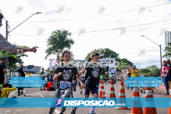 Cats Run Londrina 2025