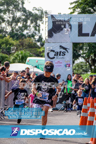 Cats Run Londrina 2025