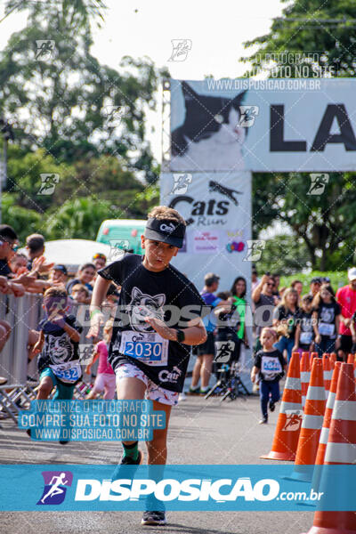 Cats Run Londrina 2025