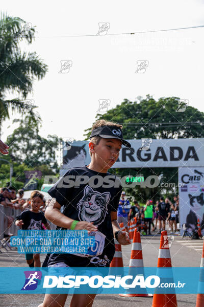 Cats Run Londrina 2025