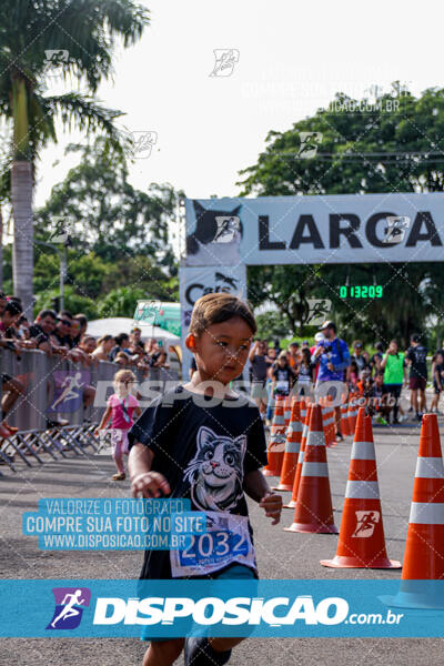 Cats Run Londrina 2025