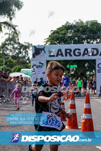 Cats Run Londrina 2025