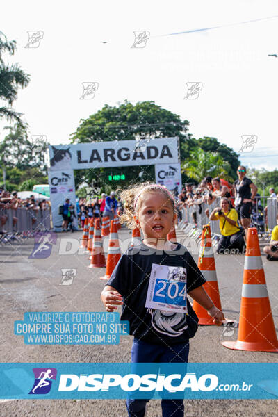 Cats Run Londrina 2025