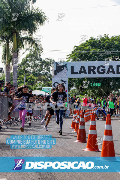 Cats Run Londrina 2025