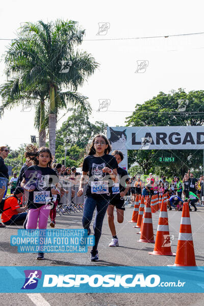 Cats Run Londrina 2025