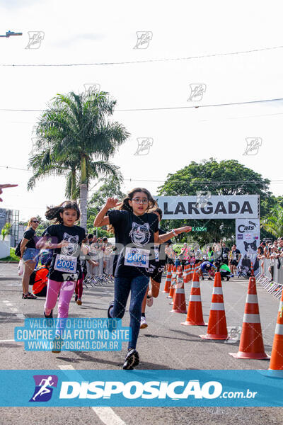 Cats Run Londrina 2025