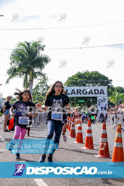 Cats Run Londrina 2025