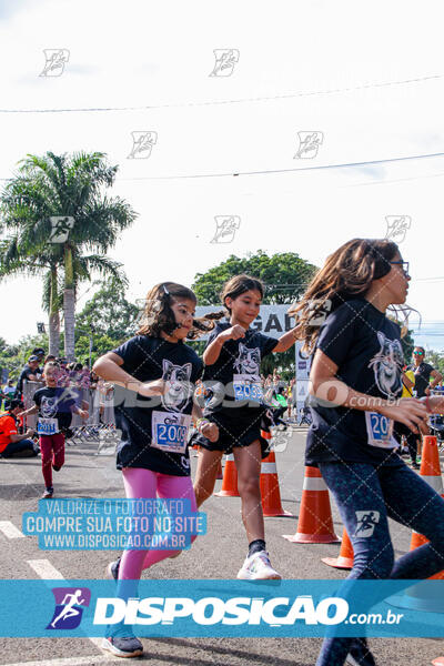 Cats Run Londrina 2025