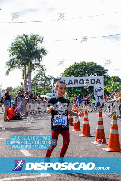 Cats Run Londrina 2025