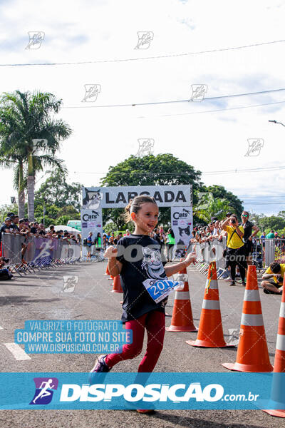 Cats Run Londrina 2025