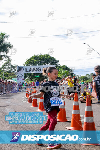 Cats Run Londrina 2025