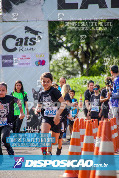 Cats Run Londrina 2025